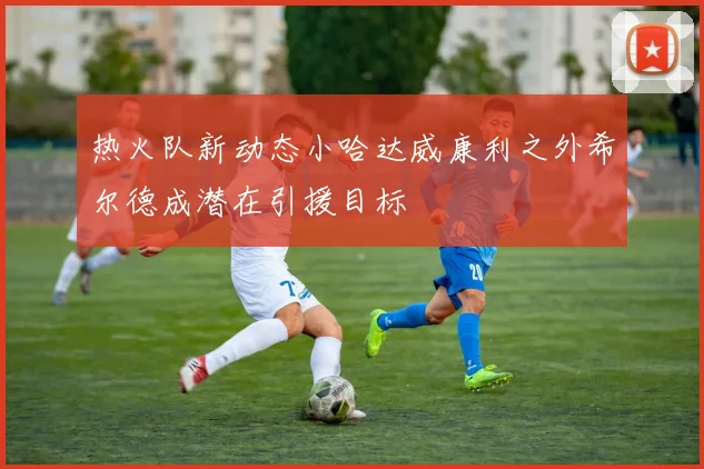 热火队新动态小哈达威康利之外希尔德成潜在引援目标