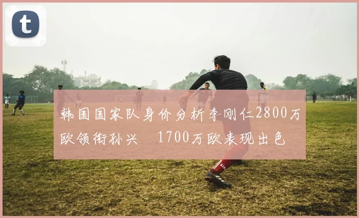 韩国国家队身价分析李刚仁2800万欧领衔孙兴慜1700万欧表现出色